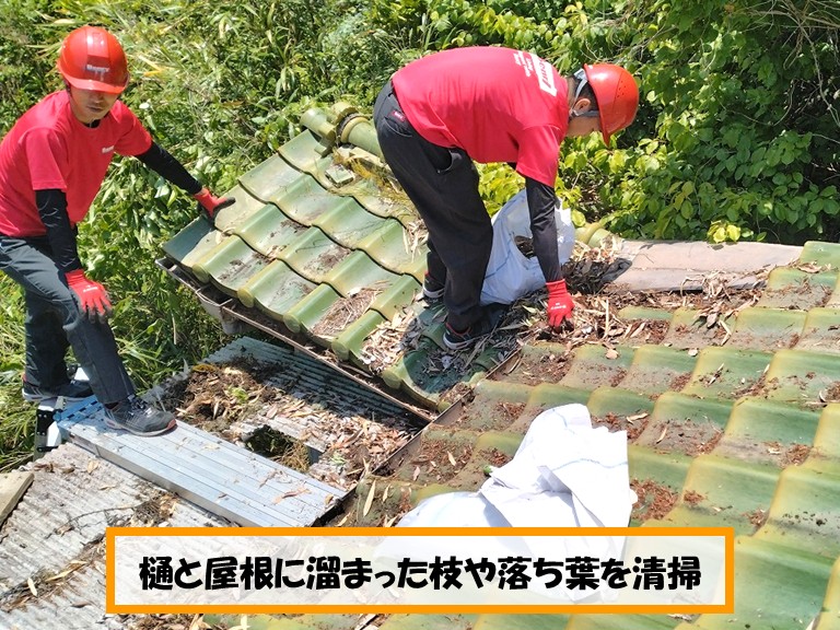 泉佐野市樋と屋根に溜まった枝や落ち葉を清掃