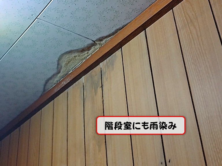 泉佐野市階段室にも雨染み