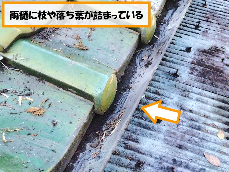 泉佐野市雨樋に枝や落ち葉が詰まっている