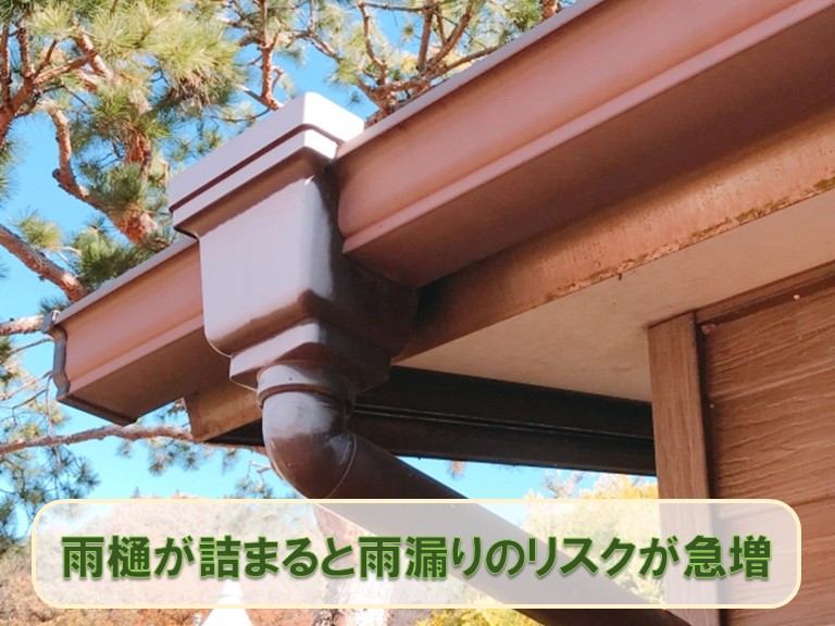 泉佐野市雨樋詰まり