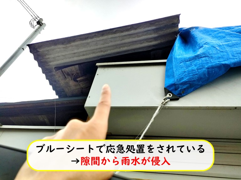 泉南市で屋根材が剥がれて雨漏りが発生したガレージを現場調査！