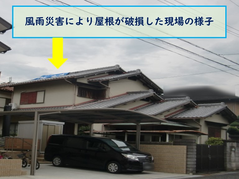 泉南市で風雨災害により屋根が破損した現場の様子
