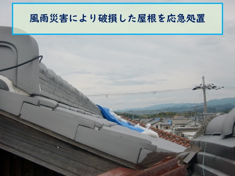 泉南市で風雨災害により破損した屋根を応急処置