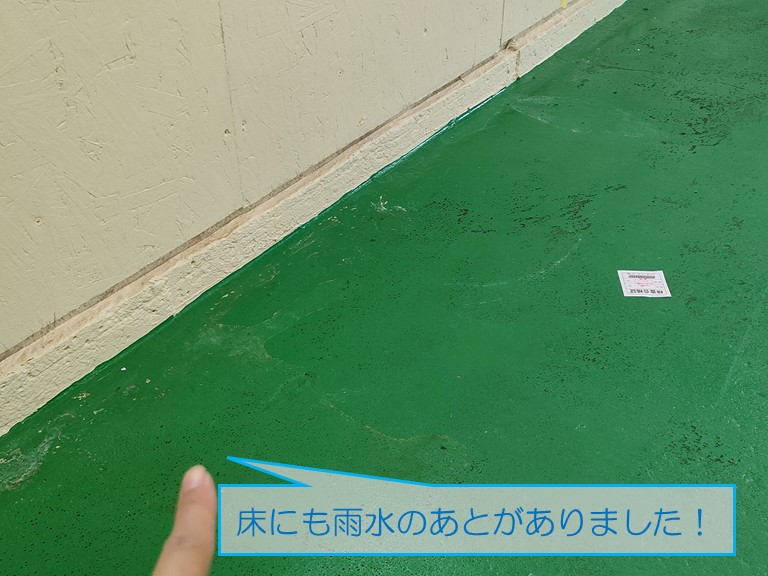 泉南市の倉庫から雨漏りのご相談床にも雨水で濡れた跡あり
