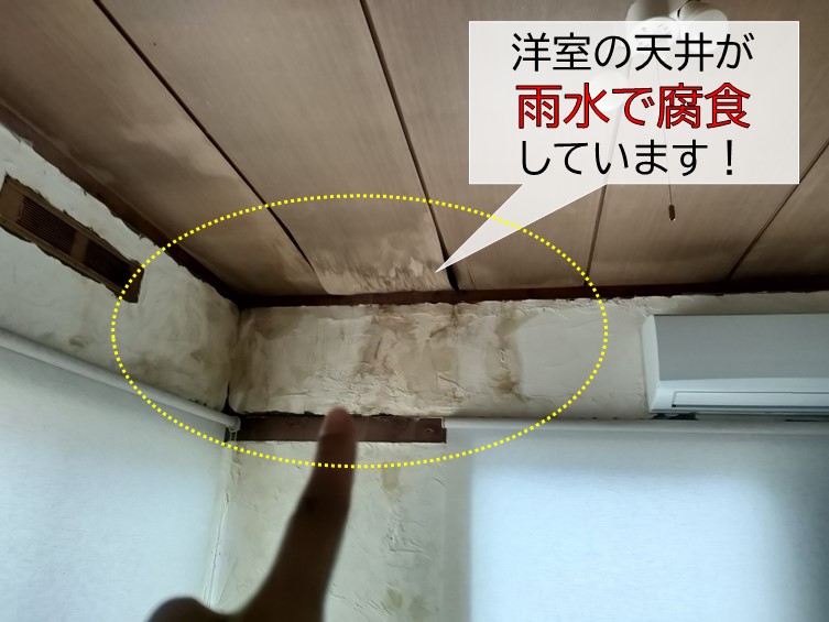 泉南市の洋室の天井で雨漏り発生