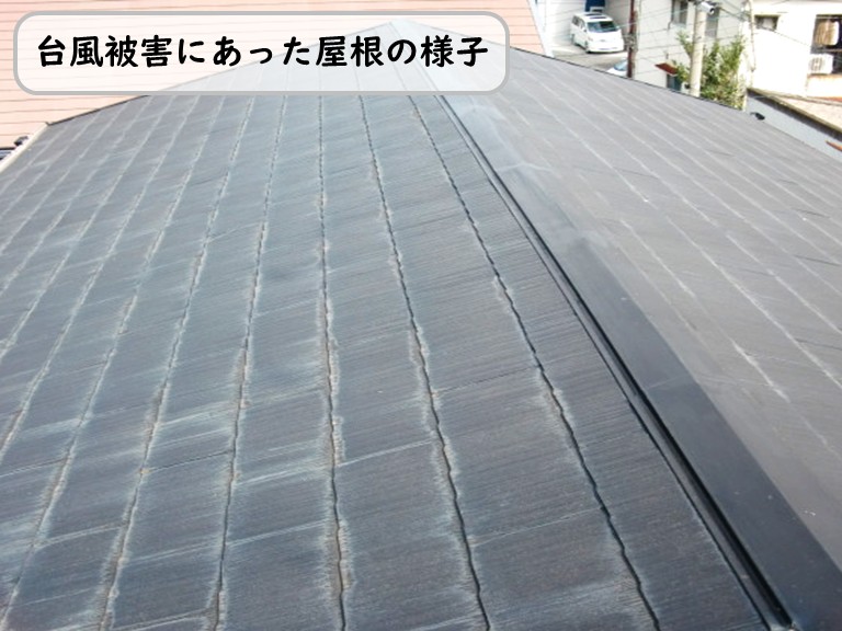 泉南市台風被害にあった屋根
