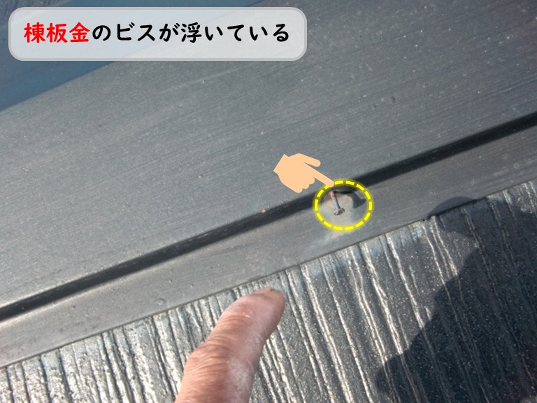 泉南市台風被害の屋根調査で棟板金・ケラバ板金のビス浮きを発見