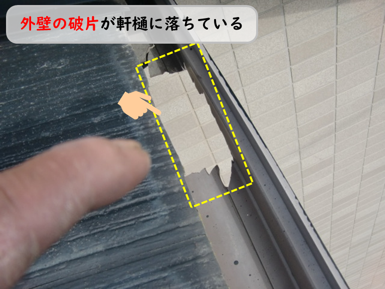 泉南市軒樋サイディング破片