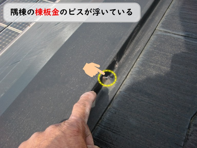 泉南市隅棟棟板金浮き