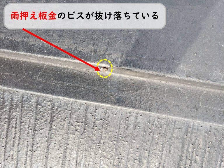 泉南市雨押え板金ビス抜け