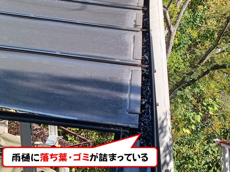 泉南市雨樋に落ち葉・ゴミが詰まっている