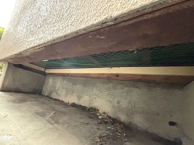 泉大津市 害獣対策 床下ネット