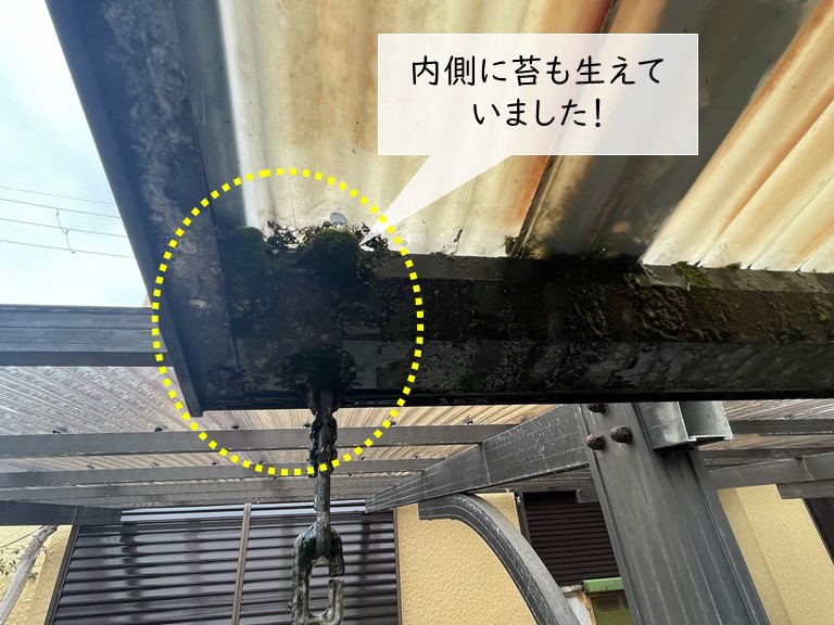 泉大津市のカーポートに苔が生えています