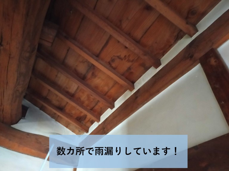 泉大津市の和室の天井の数カ所で雨漏りしています