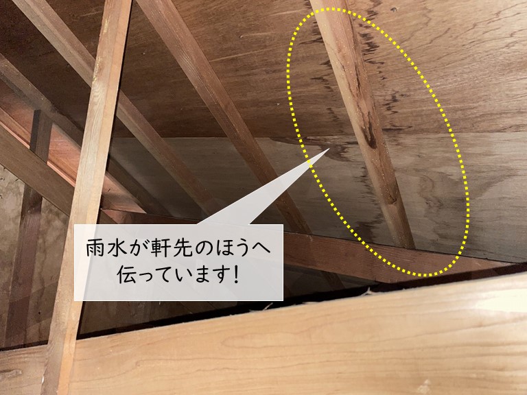 泉大津市の天井裏で棟から入った雨水が軒先に伝っています