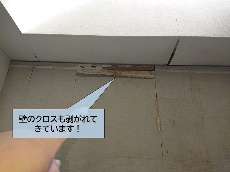 泉大津市の天窓の下の壁のクロスも剥がれてきています
