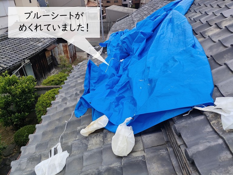 泉大津市の屋根のブルーシートがめくれていました！