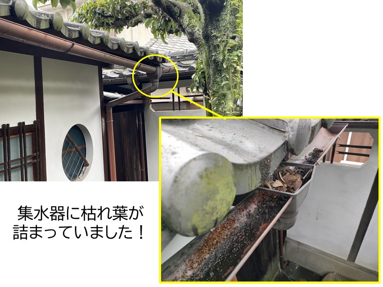 泉大津市の雨樋掃除で集水器を外して復旧しました！