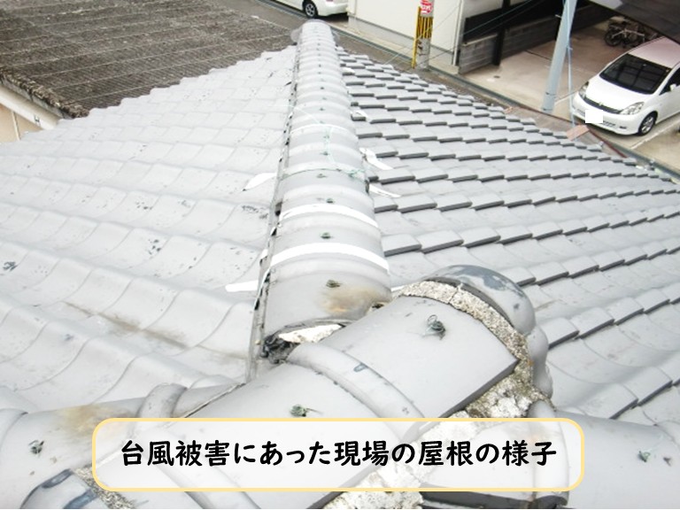 泉大津市台風被害