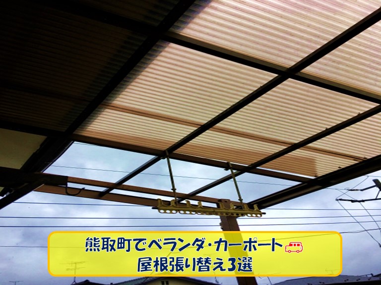 熊取町でベランダ屋根やカーポートの屋根張り替え3選をご紹介