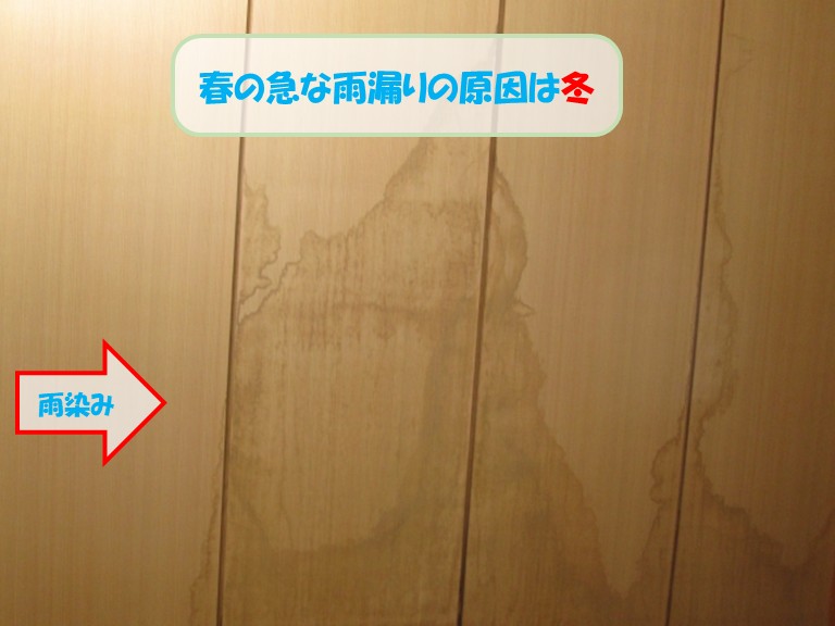 熊取町で春の急な雨漏りの原因は冬