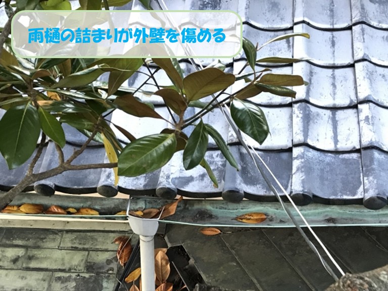 熊取町で雨樋の詰まりが外壁を傷める