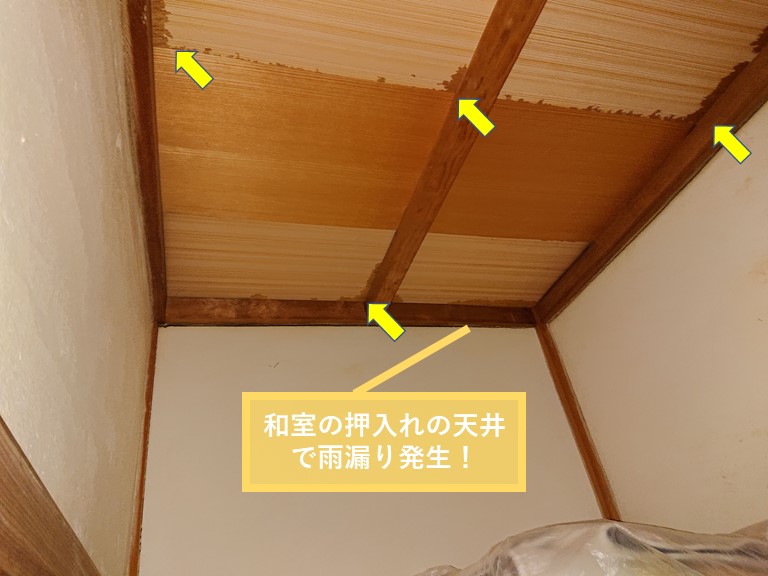 熊取町の和室の天井で雨漏り発生