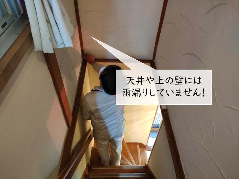 熊取町の階段室の天井からは雨漏りしていません