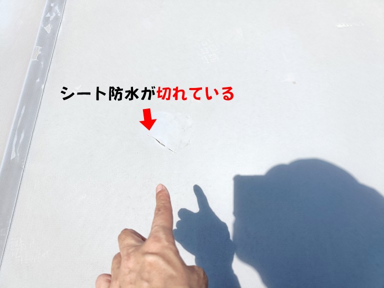 熊取町シート防水が切れている2