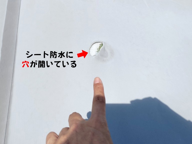 熊取町で工場の陸屋根のシート防水が切れて穴が開き、雨漏り発生