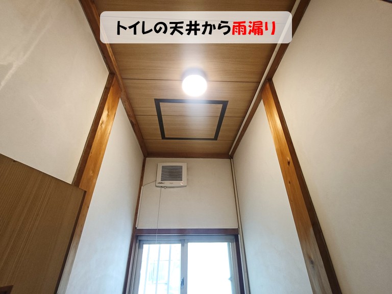 熊取町トイレの天井から雨漏り