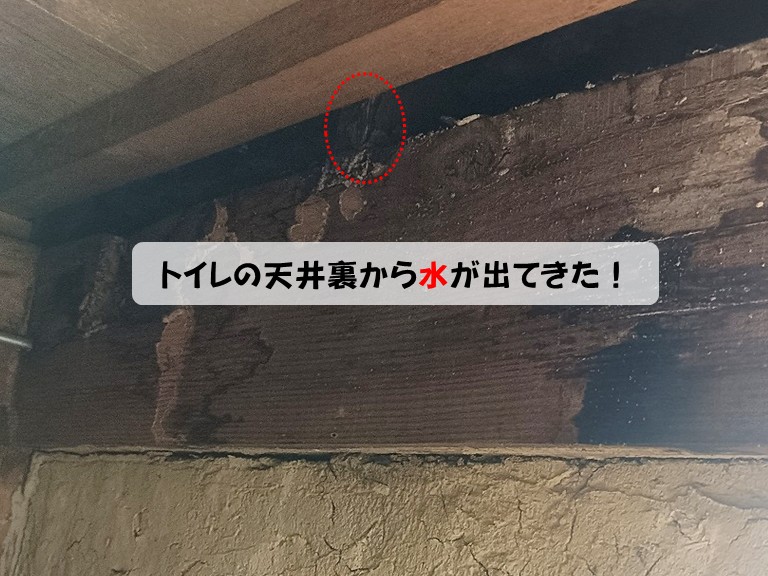 熊取町トイレの天井裏から水が出てきた！