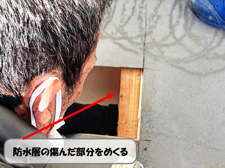 熊取町防水層をめくる