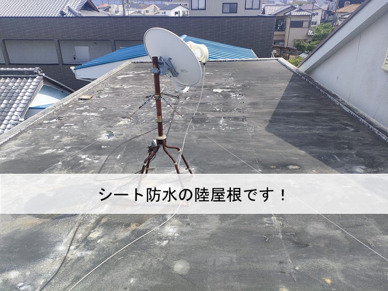 貝塚市のシート防水の陸屋根