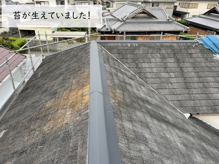 貝塚市のスレート屋根に苔が生えていました