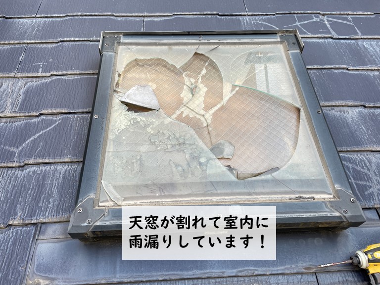 貝塚市の天窓のガラスが割れています