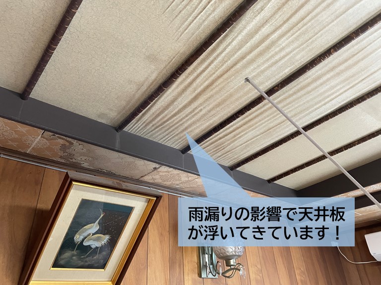 貝塚市の洋室の天井板が雨漏りで傷んでいます