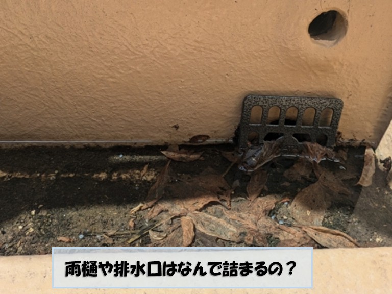 貝塚市雨樋や排水口はなんで詰まる