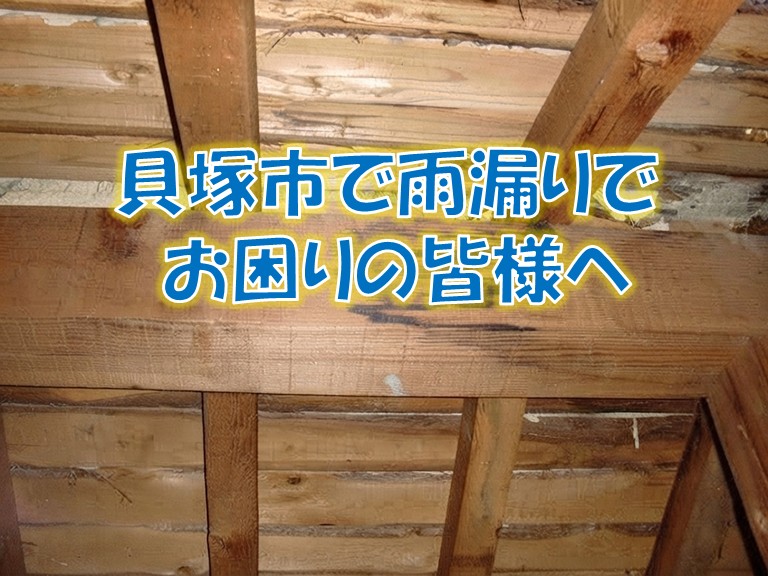 貝塚市の雨漏り修理事例集、原因別に7つの施工実績をご紹介
