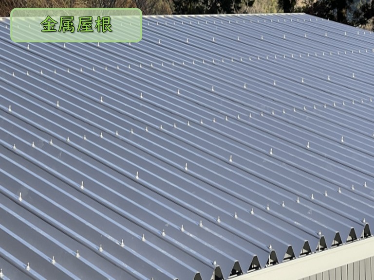 金属屋根