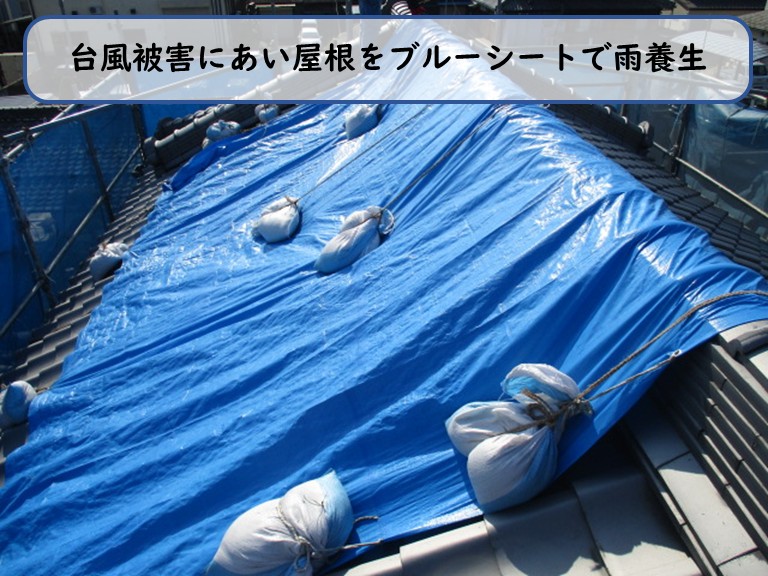 阪南市で屋根を雨養生