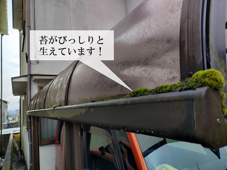 阪南市のカーポートに苔が生えています