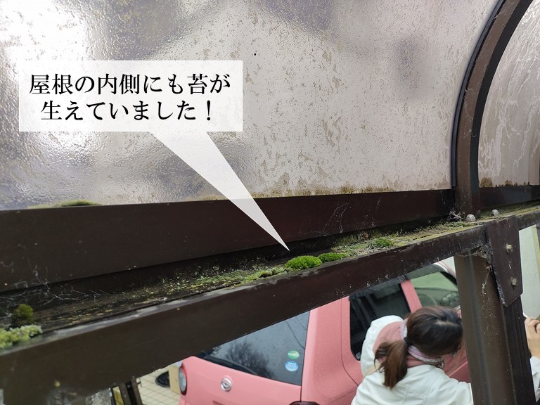 阪南市のカーポートの内側にも苔が生えています