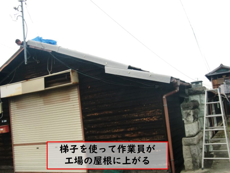 阪南市の工場の屋根に梯子で上がる
