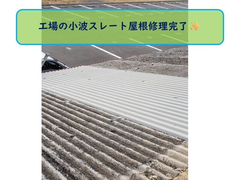 阪南市工場屋根修理後