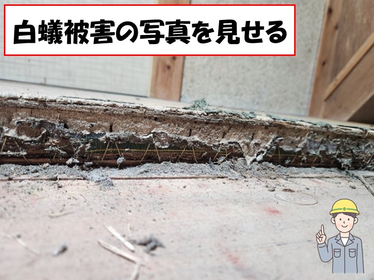 阪南市白蟻被害