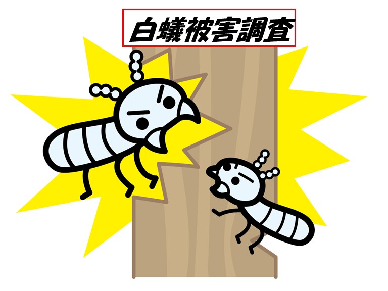 阪南市白蟻被害調査