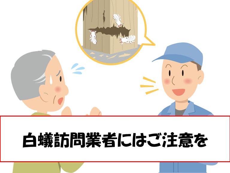 阪南市で要注意！春に増えるシロアリ訪問業者に騙されないために