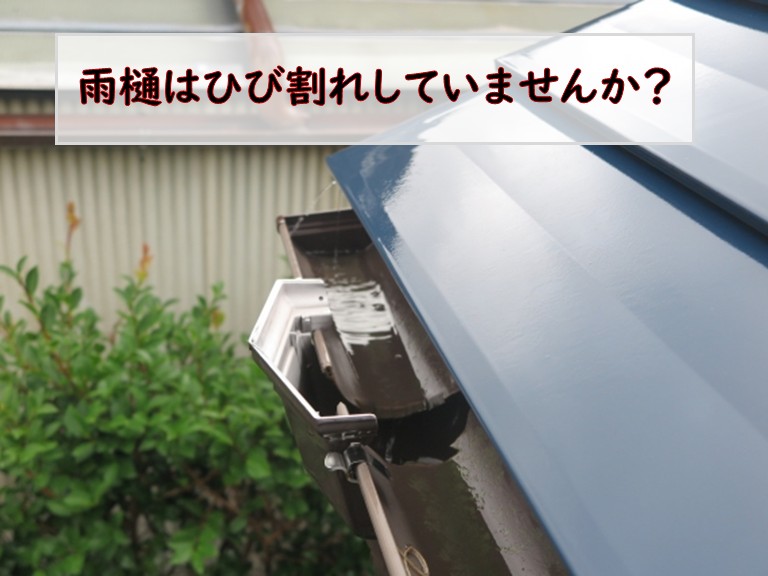 雨樋ひび割れ