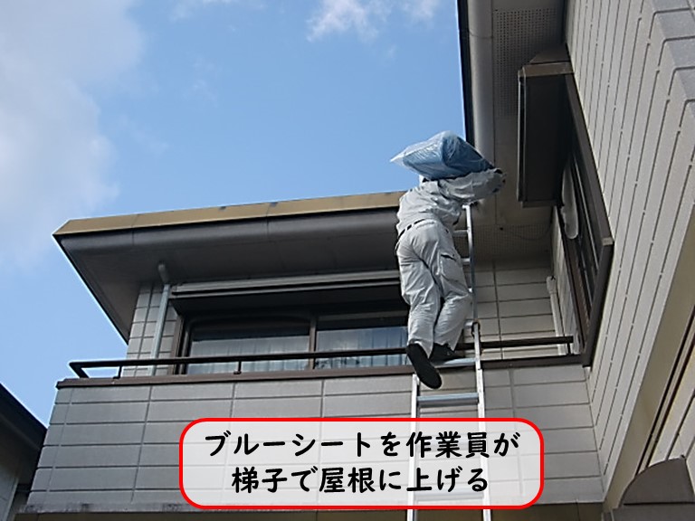 高石市でブルーシートを作業員が梯子で屋根に上げる
